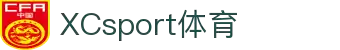 XCsport体育：全球足球、篮球等热门赛事分析与解读